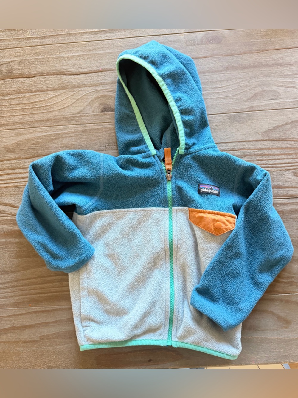 Patagonia Kids Teal & Light Blue Hooded Fleece Jacket